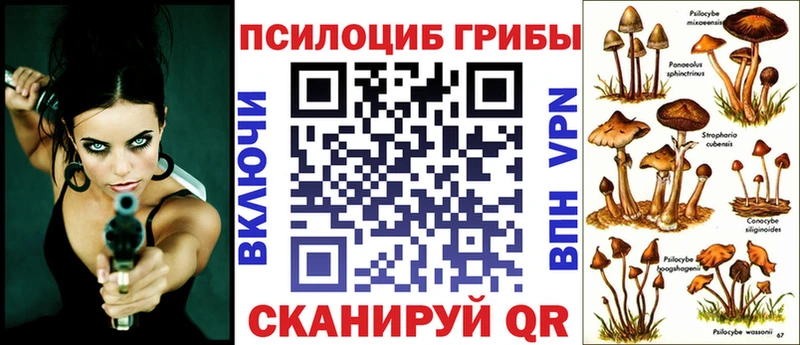 Псилоцибиновые грибы мухоморы  Купить  Владикавказ 