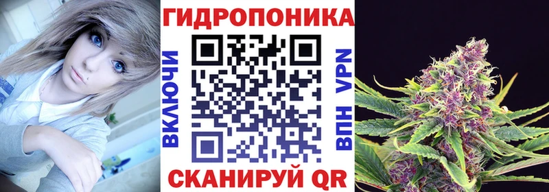 Купить где  Владикавказ  Бошки Шишки VHQ 